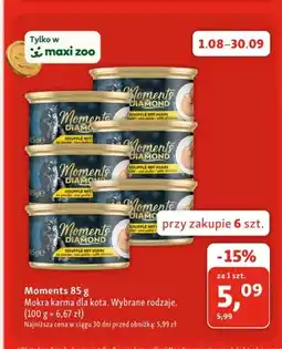 Maxi Zoo Mokra karma dla kota Moments oferta