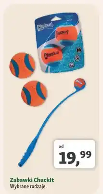 Maxi Zoo Zabawka dla psa Chuckit! oferta