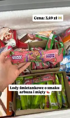 Dino Lody śmietankowe Bungee arbuz mięta oferta