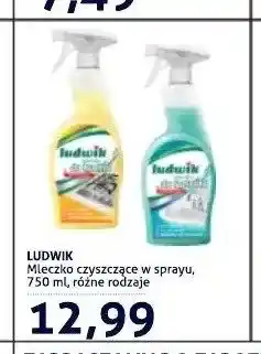 Blue Stop Mleczko czyszczące w sprayu Ludwik oferta
