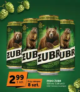 Groszek Piwo Żubr oferta