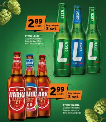 Groszek Piwo Lech oferta