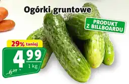 Prim Market Ogórki gruntowe oferta