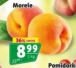 Prim Market Morele oferta