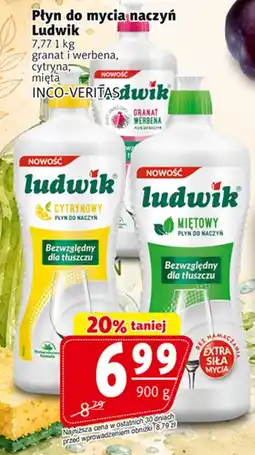 Prim Market Płyn do mycia naczyń Ludwik oferta