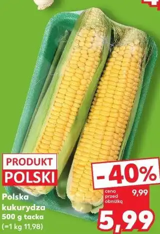 Kaufland Polska kukurydza oferta