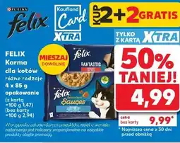 Kaufland Felix Karma dla kotów różne rodzaje oferta