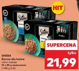 Kaufland Sheba Karma dla kotów różne rodzaje oferta