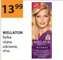 Drogerie Laboo WELLATON farba różne odcienie oferta