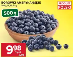 Stokrotka Market Borówki Amerykańskie oferta