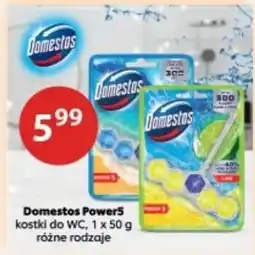 Drogerie Laboo Domestos Power5 kostki do WC oferta