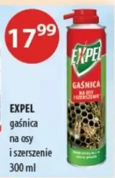 Drogerie Laboo EXPEL gaśnica na osy i szerszenie oferta