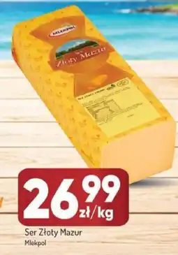 Avita Ser Złoty Mazur Mlekp oferta