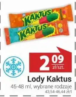 Nasz Sklep Lody Kaktus oferta