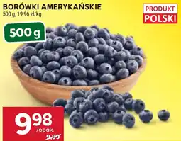 Stokrotka Borówki Amerykańskie oferta