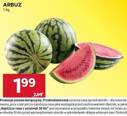 Stokrotka ARBUZ oferta