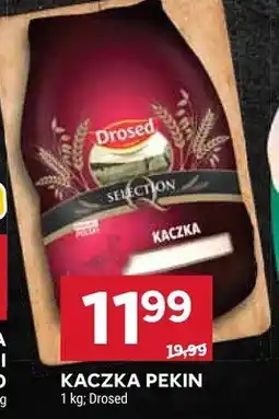Stokrotka Kaczka Pekin Drosed oferta