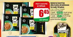Dino Mokra karma dla kota Sheba oferta