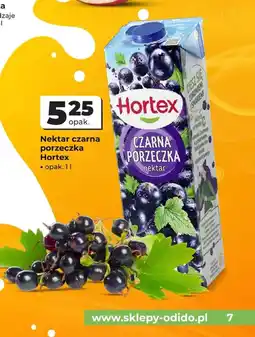 Odido Czarna porzeczka Hortex oferta