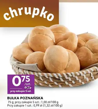 Stokrotka Express Bułka oferta