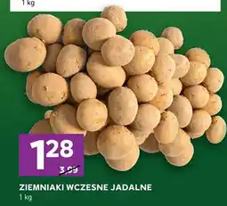 Stokrotka Ziemniaki wczesne jadalne oferta