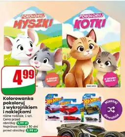 Dino Kolorowanka oferta