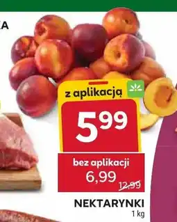 Stokrotka Nektarynki oferta