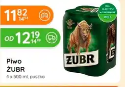 Eurocash Cash & Carry Piwo Żubr oferta