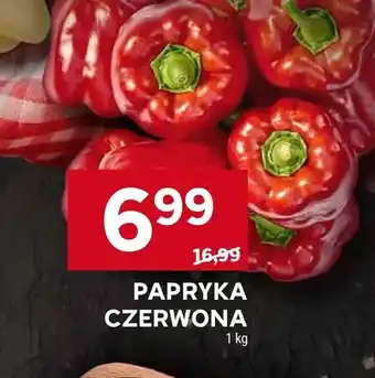 Stokrotka Papryka czerwona oferta