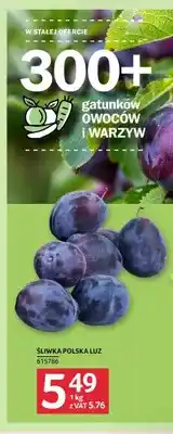 Selgros Śliwka polska luz oferta
