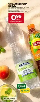 Stokrotka Woda mineralna Norvil Muszyński częściowo odgazowana oferta