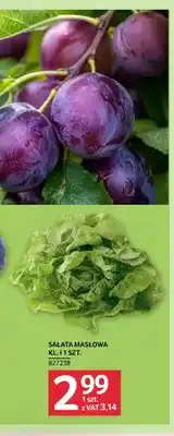 Selgros Sałata masłowa oferta