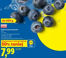 Lidl Borówki amerykańskie Plus-Plus oferta