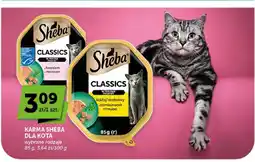 ABC Karma dla kota Sheba Classics z łososiem oferta