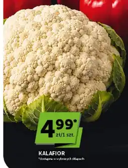 ABC Kalafior oferta