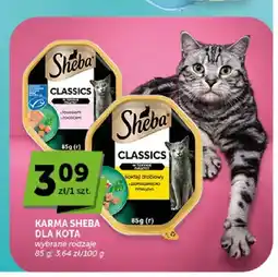 ABC Karma dla kota Sheba Classics w pasztecie z łososiem oferta