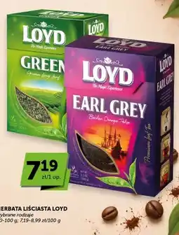 ABC Herbata liściasta Loyd Green Tea oferta