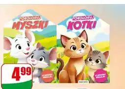 Dino Kolorowanka Pokoloruj z wykrojnikiem i naklejkami oferta
