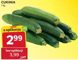Stokrotka Cukinia oferta
