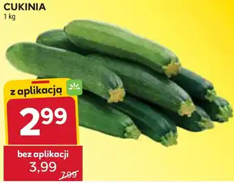 Stokrotka Cukinia oferta