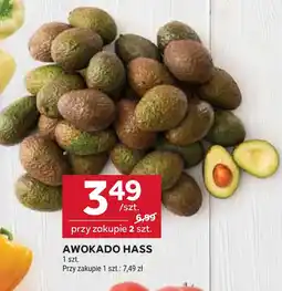 Stokrotka Awokado Hass oferta