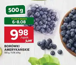 Stokrotka BORÓWKI AMERYKAŃSKIE oferta