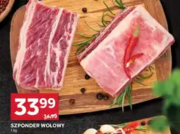 Stokrotka SZPONDER WOŁOWY oferta