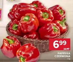Stokrotka PAPRYKA CZERWONA oferta