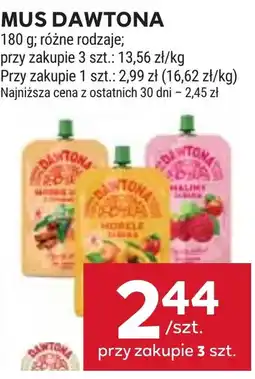 Stokrotka Mus Dawtona oferta