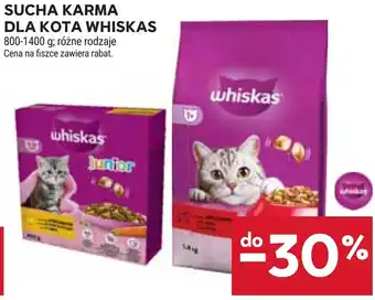 Stokrotka Sucha karma dla kota Whiskas oferta