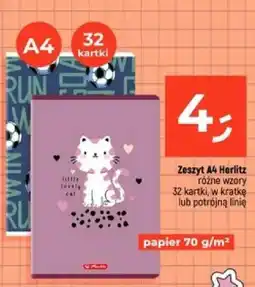 Dealz Zeszyt A4 Herlitz oferta
