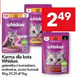 Lewiatan Karma dla kota Whiskas galaretek z kurczakiem, wołowina, Junior kurczak oferta