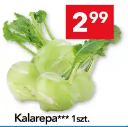 Lewiatan Kalarepa*** oferta