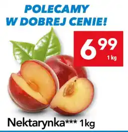 Lewiatan Nektarynka*** oferta